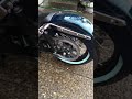Riff raff choppers softail