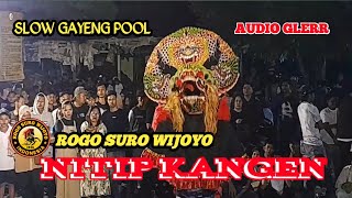 NITIP KANGEN ❗️LAGU JARANAN - ROGO SURO WIJOYO
