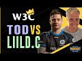WC3 - W3C Season 3 Finals EU - WB Quarterfinal: [HU] ToD vs. LiilD.C [NE]