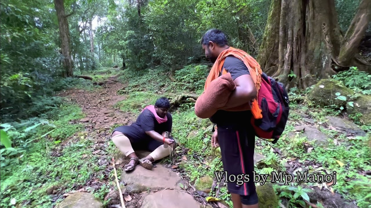 Day 37 Pulimedu Shabarimala Ayyappa Swamy Dharshanam Sri Dharmasastra padayatra Brundam #sabarimala