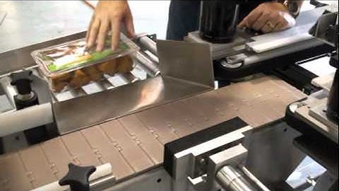 Model 1000SS Label Inspection System