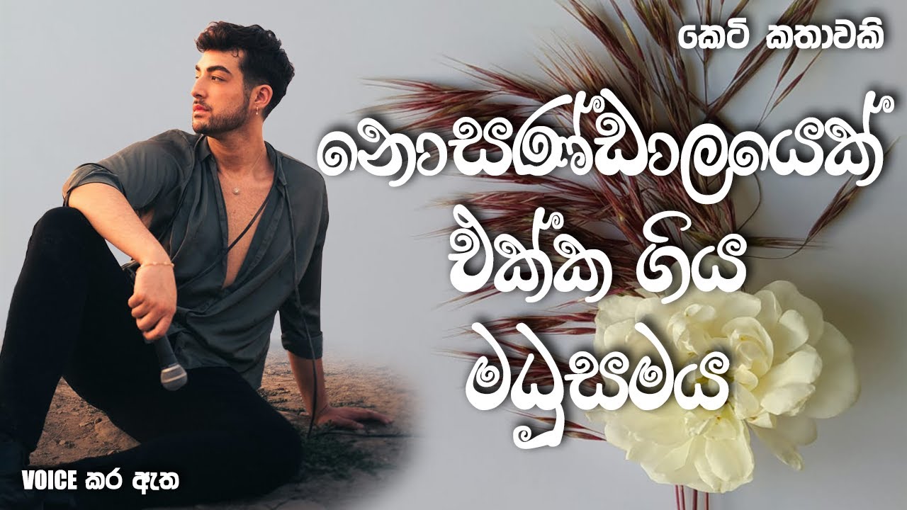 නොසණ්ඩාලයෙක් එක්ක ගිය මධුසමය | Sinhala short story | BOOK CAFE #sinhalaketikatha #lovestory #love