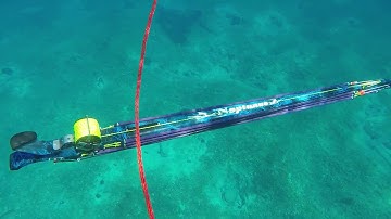 Neptunus invert roller 125 load!