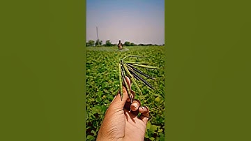 farmer Life ! heart touching ❤️ ! video /emotional video #new #shortvideo #yutubeshort #trendingshor