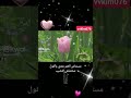 شرين ونور الدين الطيار _ مال عيونك