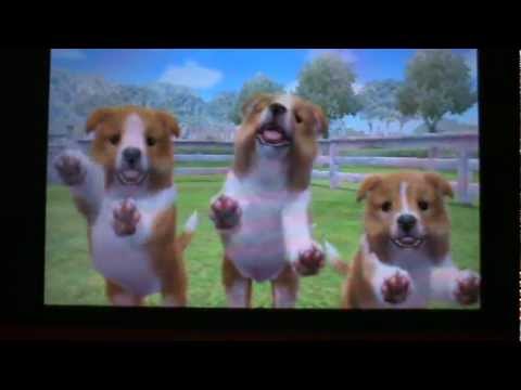 Nintendogs Cats Special Race Les Berger Des Shetland