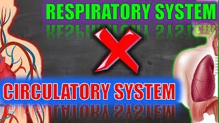 Grade 9 - Importance of the Respiratory and Circulatory system and how they work together (Tagalog)