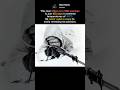 The Deadliest Sniper in History #history #viral #historyfacts #documentary