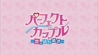 パーフェクトカップル～恋は試行錯誤～ 第21話