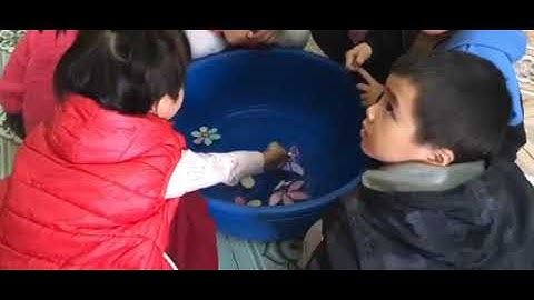 Chuyên đề: Áp dụng phương pháp giáo dục STEAM vào tổ chức hoạt động giáo dục cho trẻ 5 - 6 tuổi.