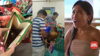 Manok ni Ama Ipinang Exchange Gift Niya | Instant Tinola | 2022 Pinoy Memes