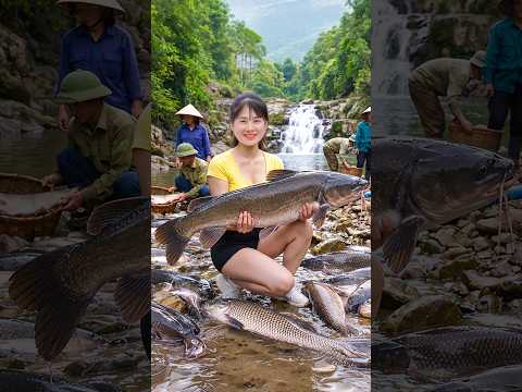 Draining a Stream to Catch Lots of Big Fish and Sell Them at the Village Market