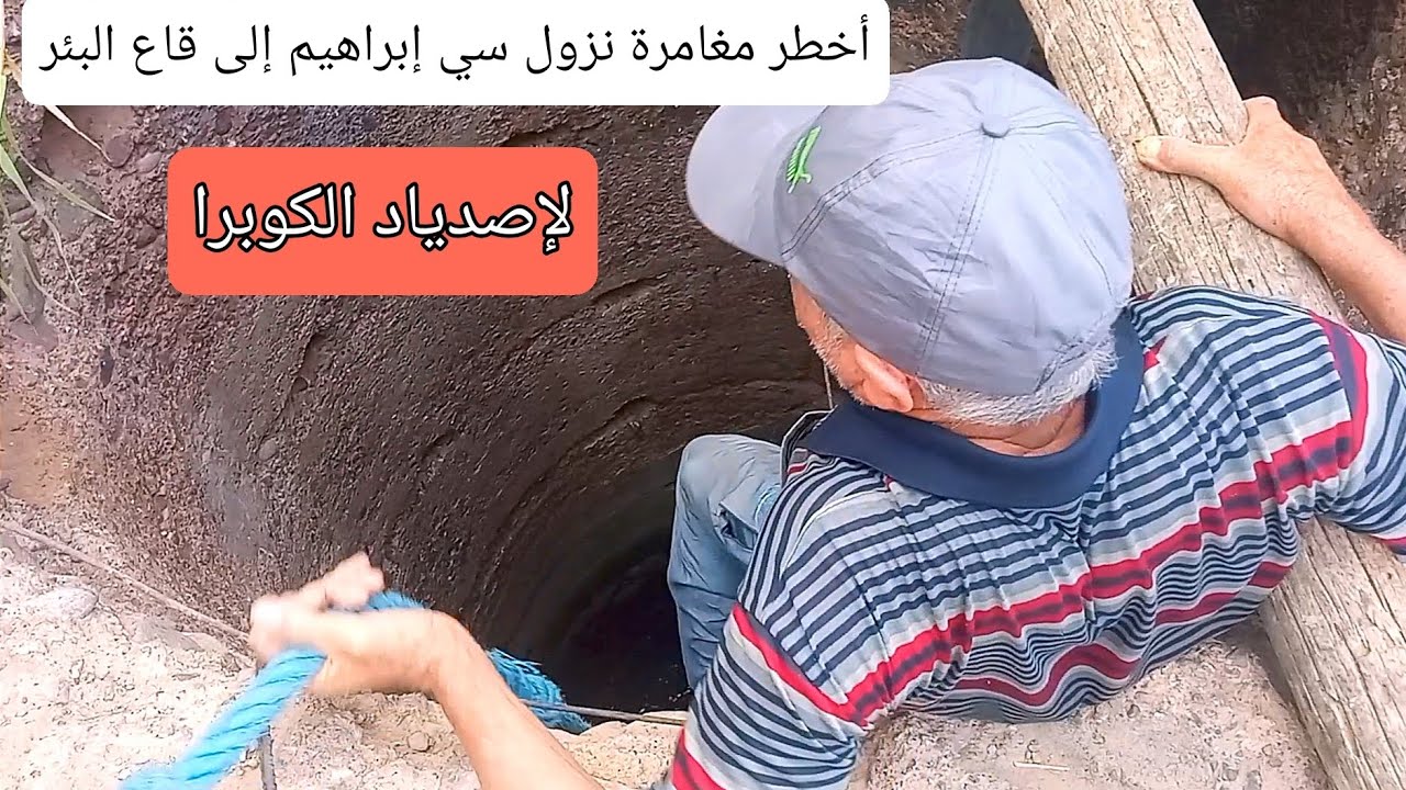 شاهد أخطر مغامرة نزول العساوي براهيم من أجل صيد كوبرا شرسة