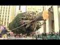 How the Rockefeller Center Christmas Tree is Prepped
