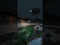 shorts #love #stuts