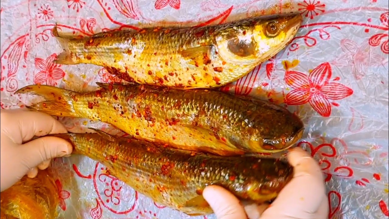 أوعى تعفنية وفى الكيس حطية وشوفى الكنز اللى جواه بعد كدا/تخليل الفسيخ فى الكيس