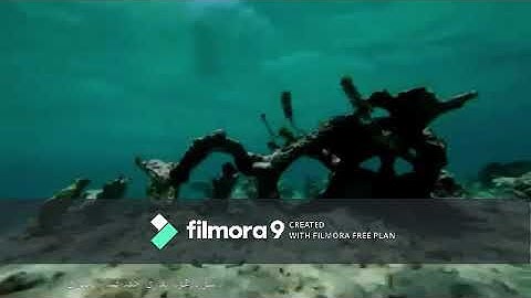 سورة هود القارىْ احمد صبار الجبوري