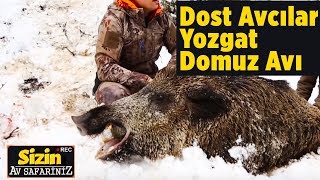 Yozgat Domuz Avı - Sizin Av Safariniz  Dost Avcılar - Yaban Tv - Wild boar Hunting Turkey