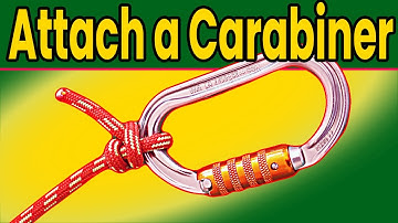 How to attach a carabiner to a rope? Tree climbing carabiner knots