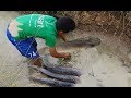 Amazing fishing at Battambang - people fishing in Cambodia - How to Catches fish (Part 150)