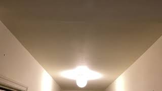 Noisy Neighbors 21720 1010pm