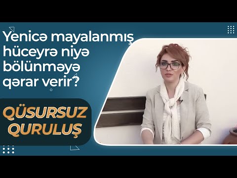 Video: Qərar ağacları bölünməyə necə qərar verir?