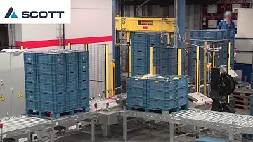 Pallet and tray handling system (Colruyt, Belgium)
