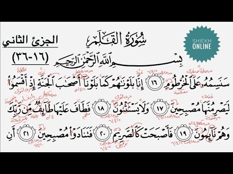 تعلم قراءة سورة القلم مع شرح أحكام التجويد الجزء الثاني