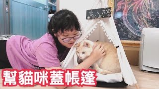 【貓咪】幫雪卷花卷蓋了一座帳篷 他們會喜歡嗎？ by NyoNyo Family 35,539 views 2 years ago 9 minutes, 20 seconds