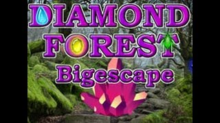 Diamond Forest Bigescape video walkthrough screenshot 5