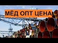 Причины роста оптовых цен на мёд, октябрь 2020