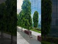 Singapore 🇸🇬 Сингапур, проход сквозь гостиницу, к парку Гарденс бай Бэй Gardens by the Bay