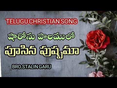      TELUGU CHRISTIAN SONG  SHARON POLAMULO PUSHPAMA 