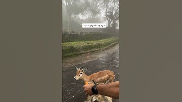 تلاوه جميله  بصوت عيسى عمر سناكو صوت جميل جدا )حالات واتس انستا سناب