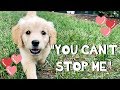 "You Can't Stop Me" - Original Song