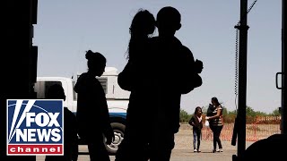 Trump's merit-based plan sparks debate over legal immigration rules
