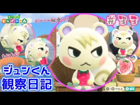 あつまれどうぶつの森　ジュン Amazon.co.jp: どうぶつの森 amiiboカード 第3弾 【264】 ジュン