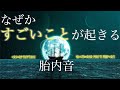 聴くだけで、なぜか"良いこと"が次々起こります。奇跡の胎内音で、人生が大きく好転する魔法の動画。
