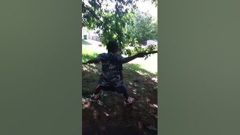 The Tree Slingshot Justin