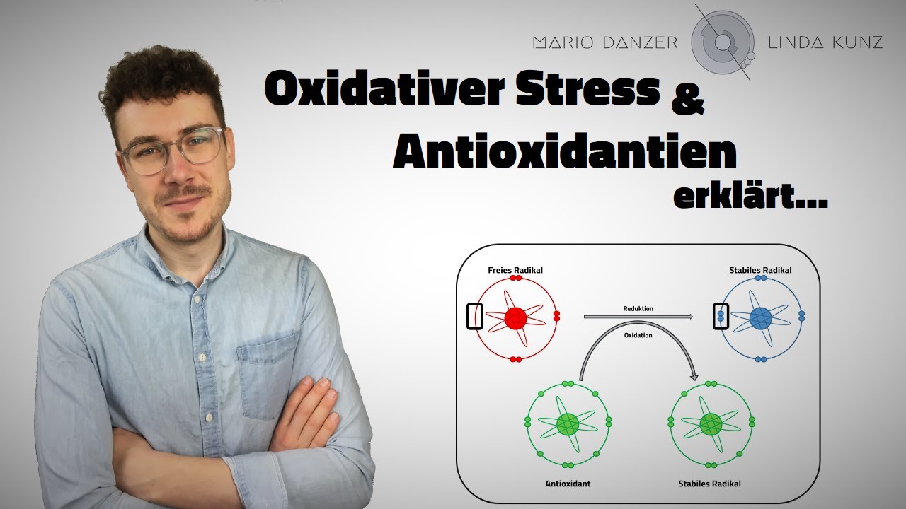 Was ist oxidativer Stress? Wie funktionieren Antioxidantien? | Stoffwechsel | Folge 3 - YouTube