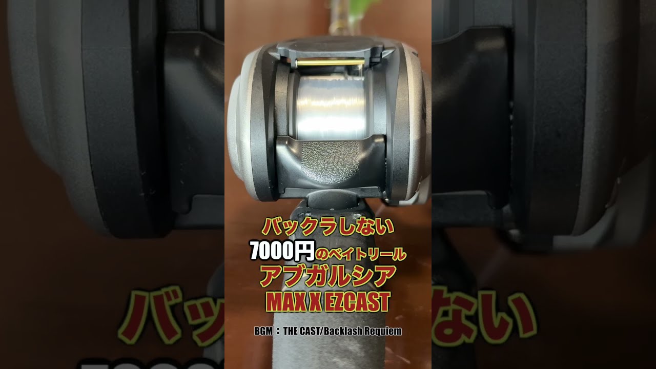 A baitcasting reel that doesn't backlash and can be bought