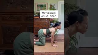 En mi posparto aprendí algo clave no todos los ejercicios son seguros ni efectivos para la diastasis