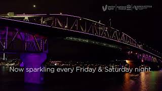 Vector Lights Celebrating Auckland