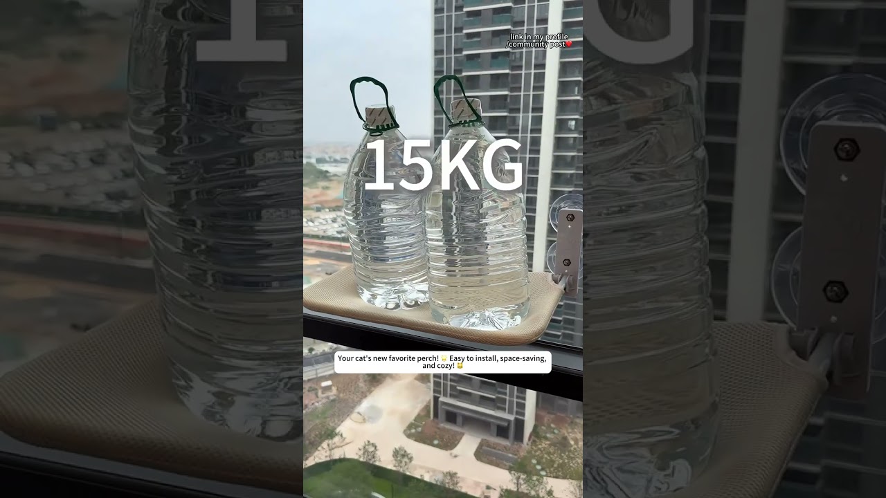 Discover the ultimate cat bed!Easy to install with suction cups.Perfect for windows and balconies.