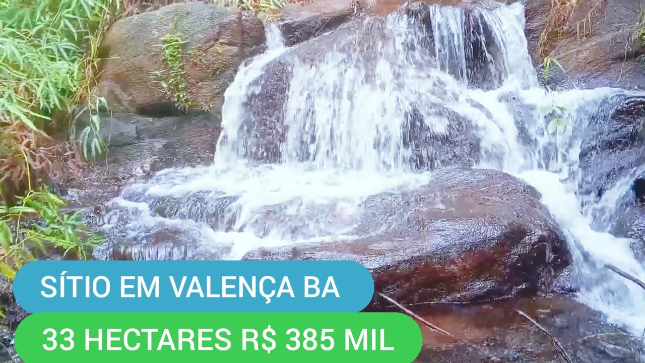 SÍTIO 33 HECTARES COM MUITA ÁGUA EM VALENÇA BA CÓDIGO:0182 ZAP 73981663547