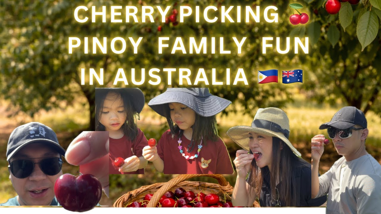 Australia's Cherry Farms: The Sweetest Summer Escape