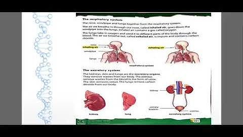 Class-3 Science Ch-4 II Human Body and Safety II Part-2 II July Course II
