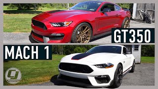 MACH 1 VS. GT350...Complete Comparison w/Test Drives