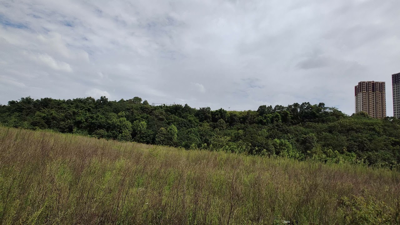 spirit gt test automatic rescue function