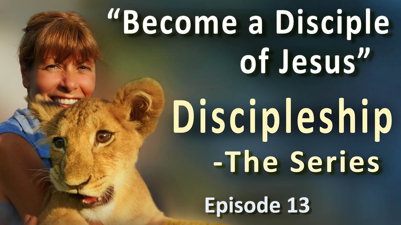 Do Not Despise The Little Ones – Go To Your Offender– Forgive Your Offenders